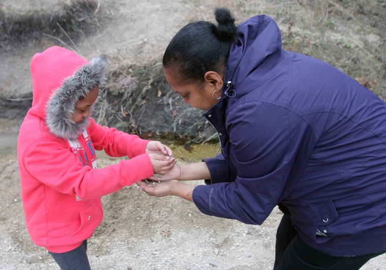 Fossil hunt